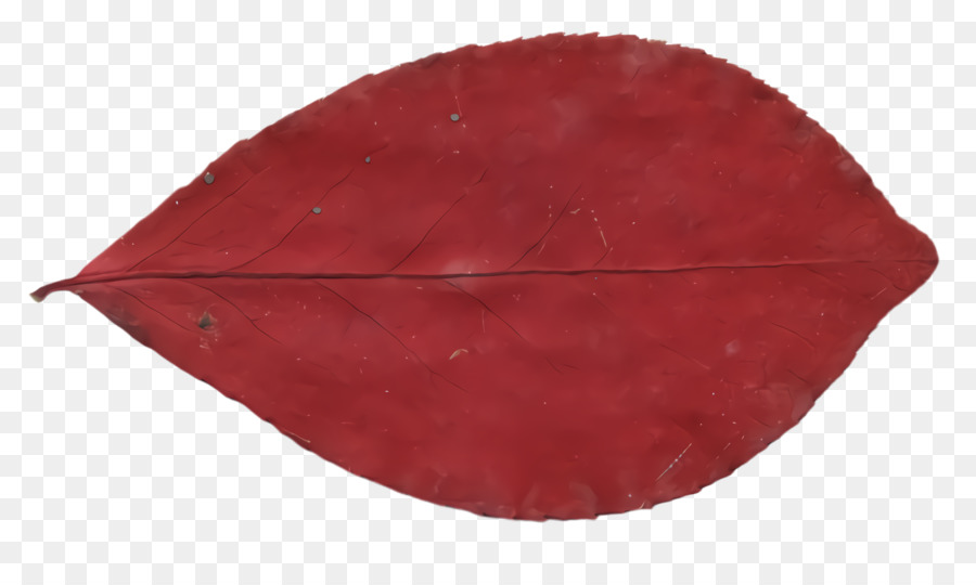 Feuille Rouge，Automne PNG