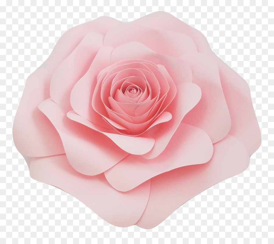 Pêche Rose，Floraison PNG