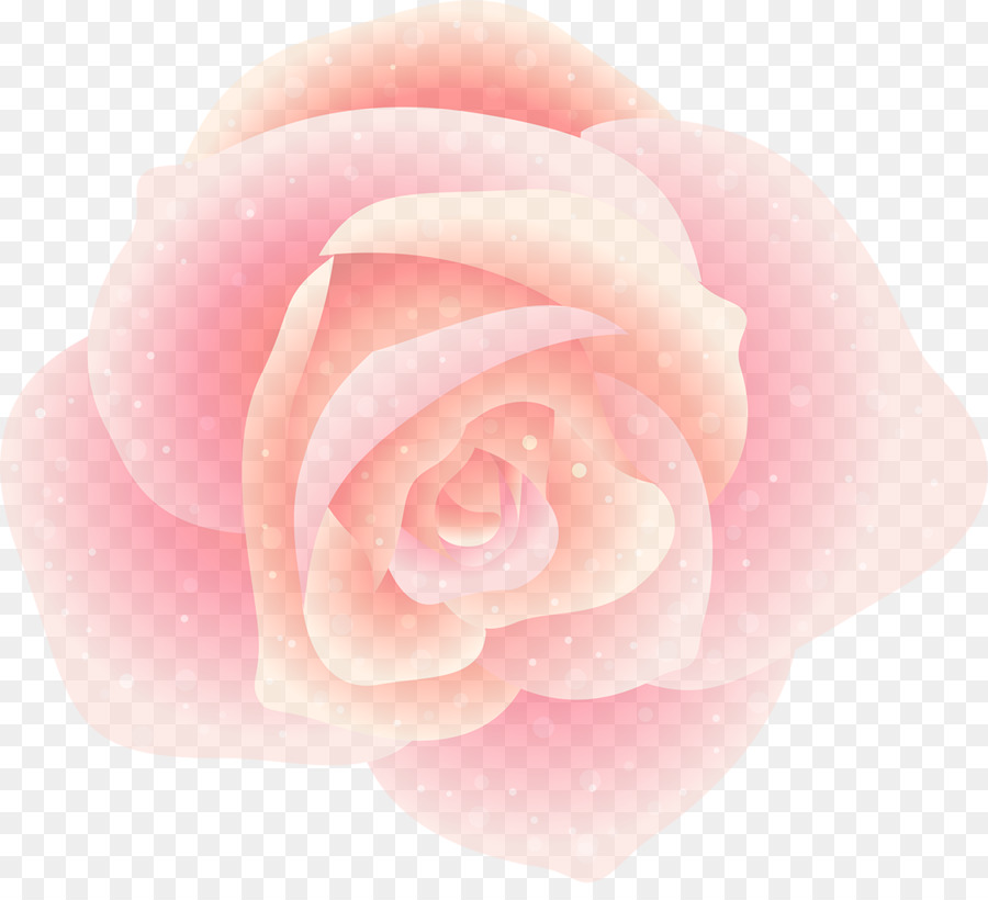 Rose Rose，Rose PNG