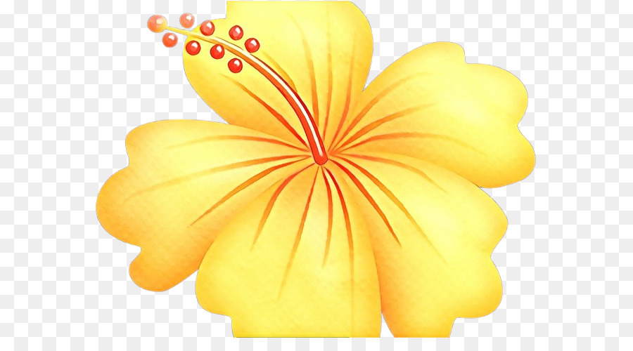 Hibiscus Jaune，Pétales PNG