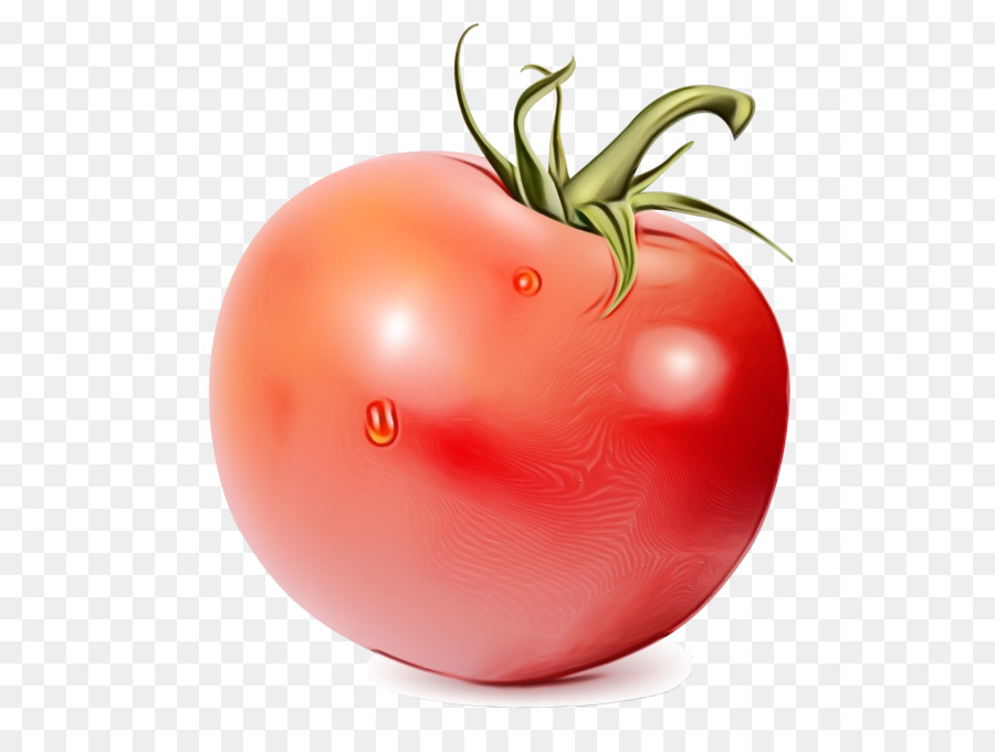 Les Aliments Naturels，Tomate PNG