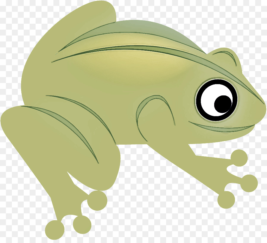 Grenouille，Amphibie PNG