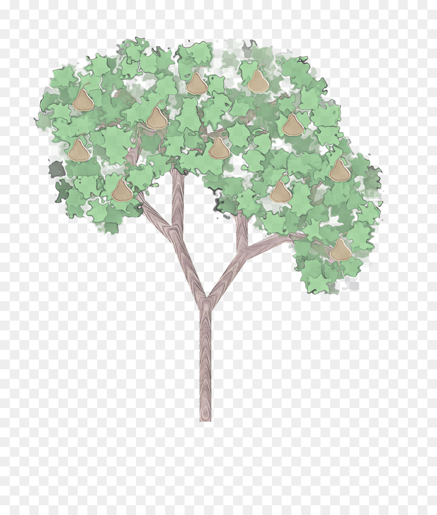 Plante，Arbre PNG