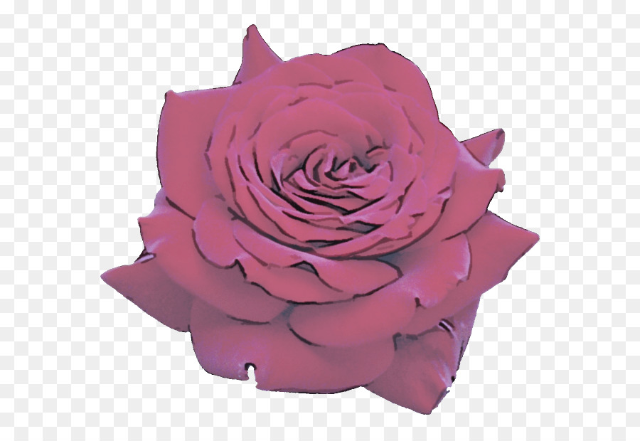 Rose Noire，Sombre PNG