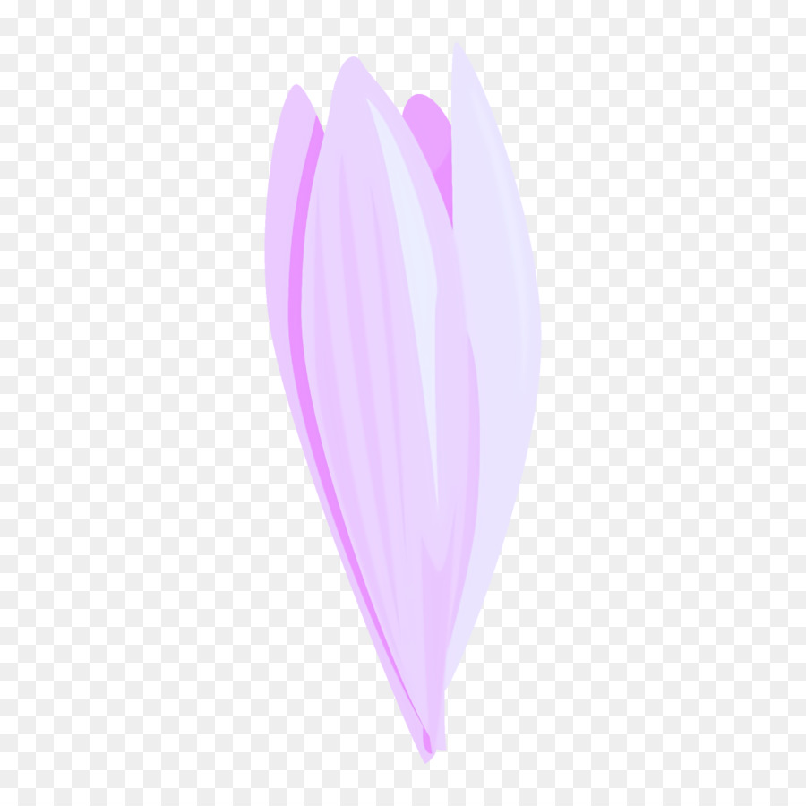Rose，Plume PNG