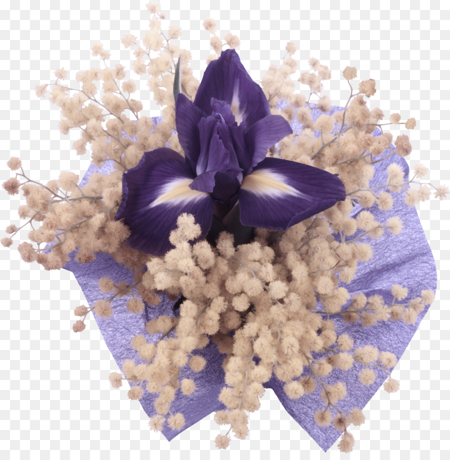 Violet，La Lavande PNG