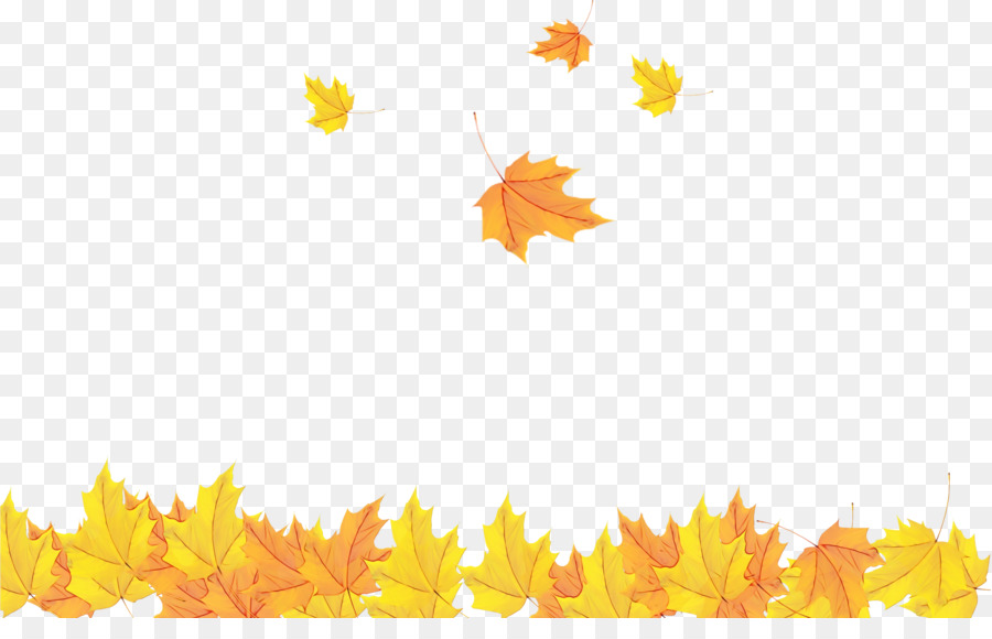 Feuilles D'automne，Automne PNG