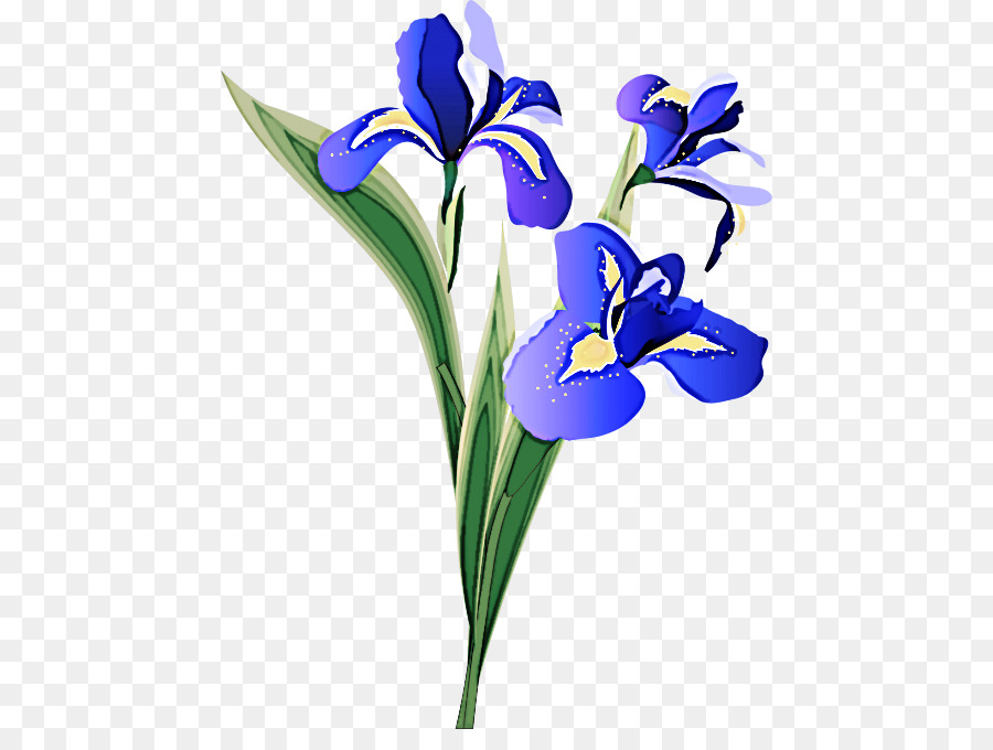 Fleur D'iris，Violet PNG