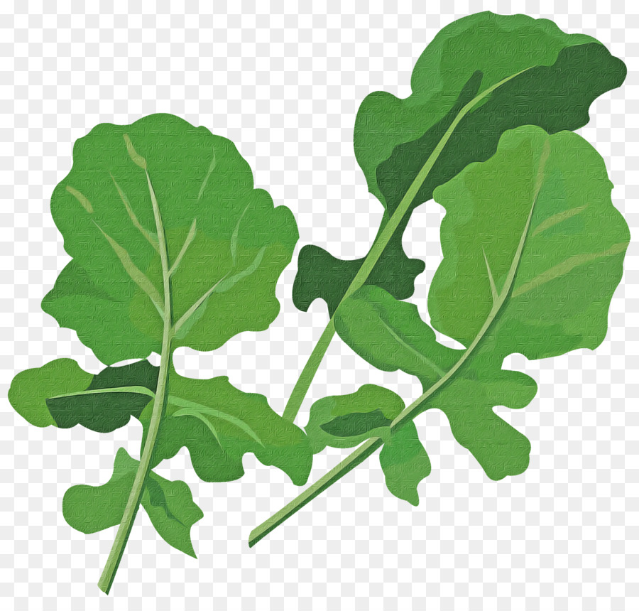 Feuille，Fleur PNG