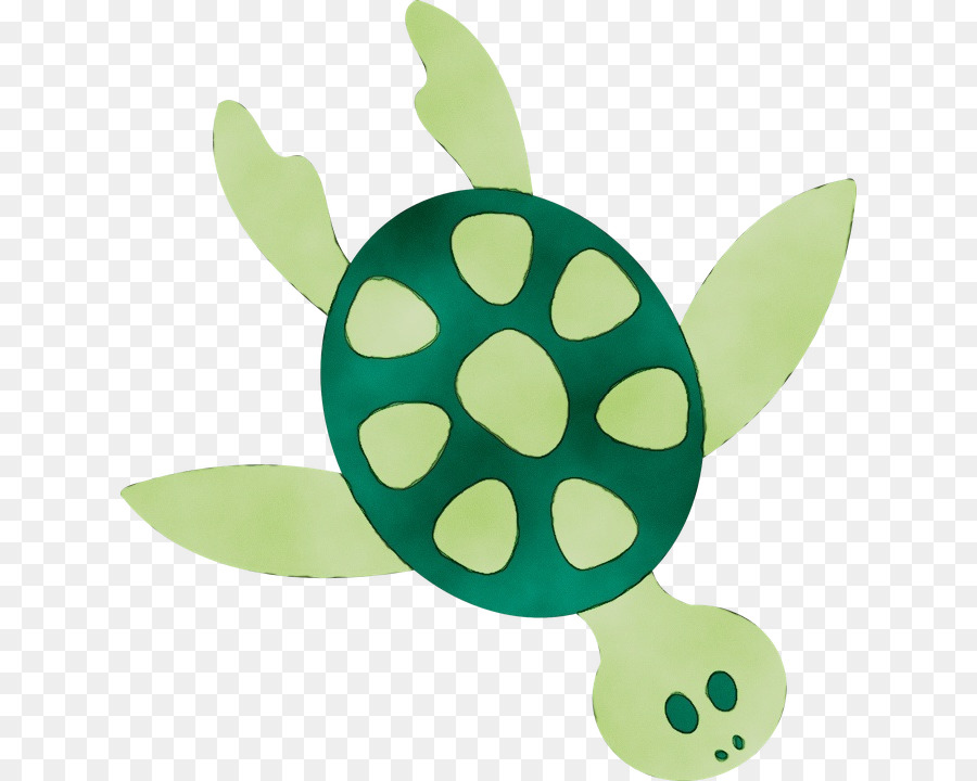 Tortue，Mer PNG