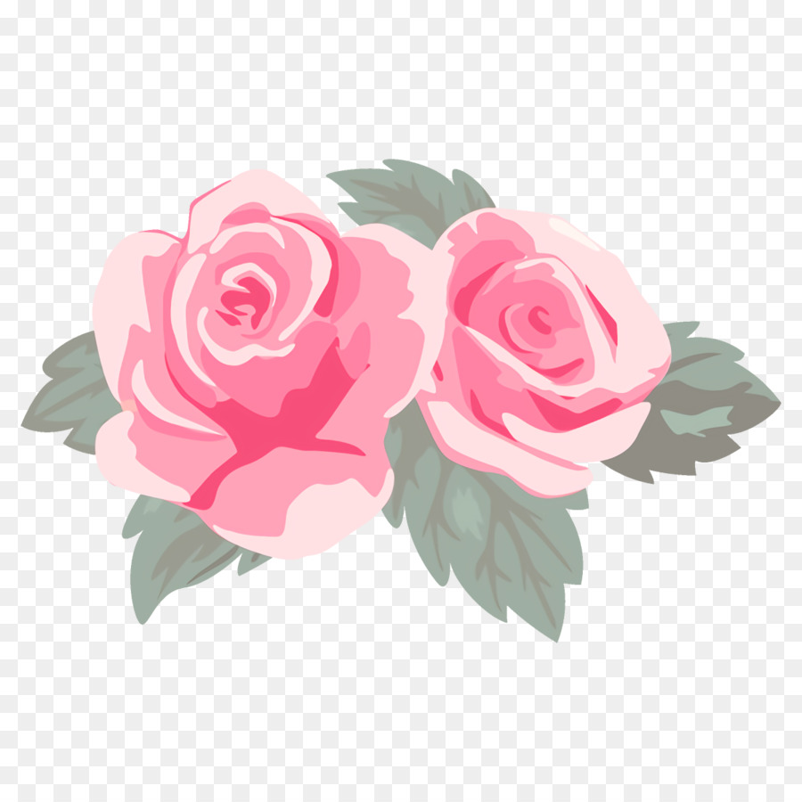 Roses，Floraison PNG