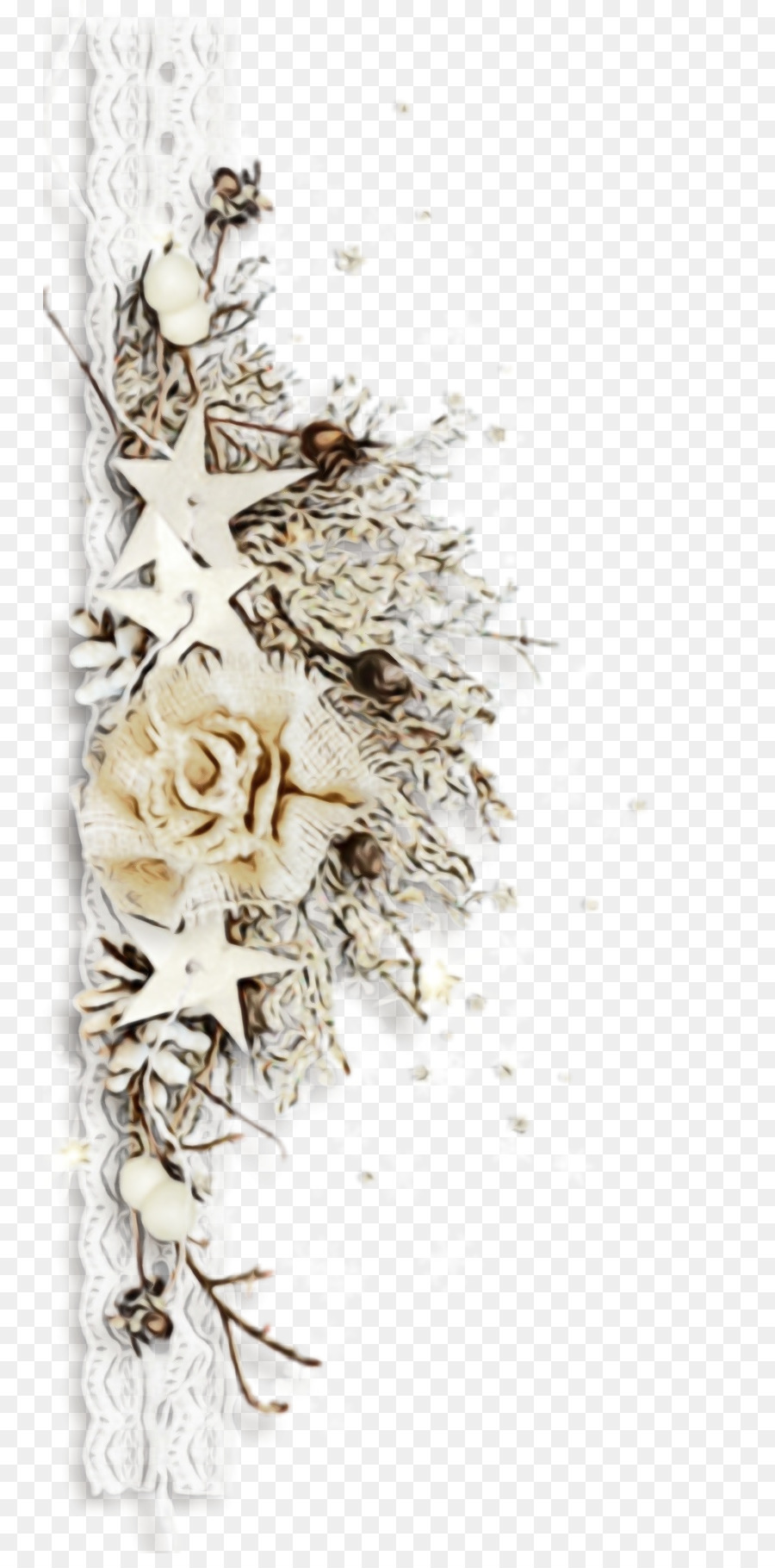 Décoration Florale，Blanc PNG