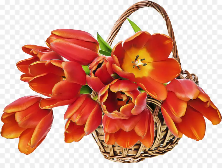 Panier De Tulipes，Bouquet PNG