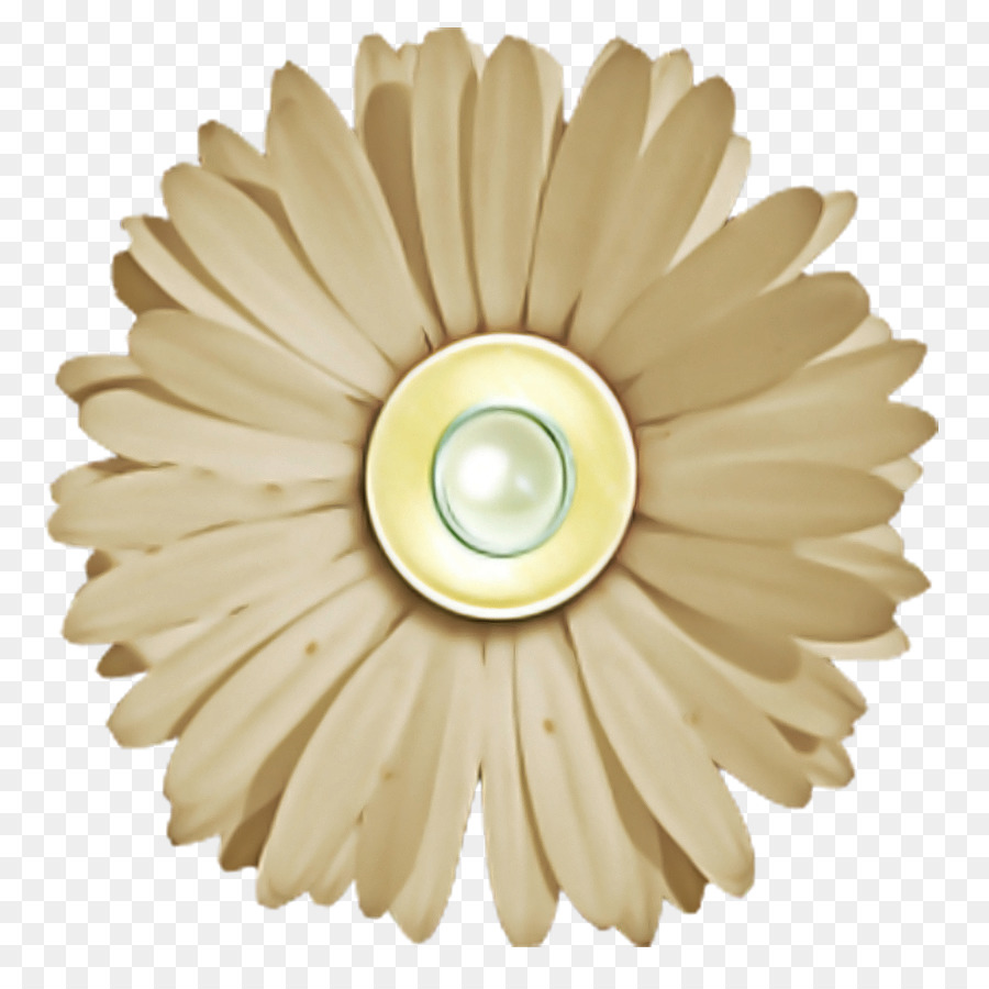 Tournesol，Jaune PNG