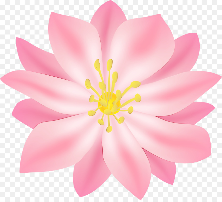 Fleur Rose，Fleurir PNG