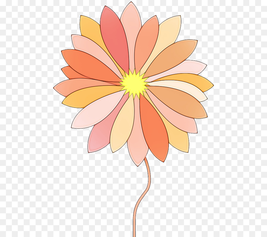 Orange，Fleur PNG