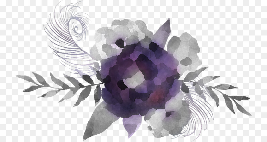 Violet，Lilas PNG