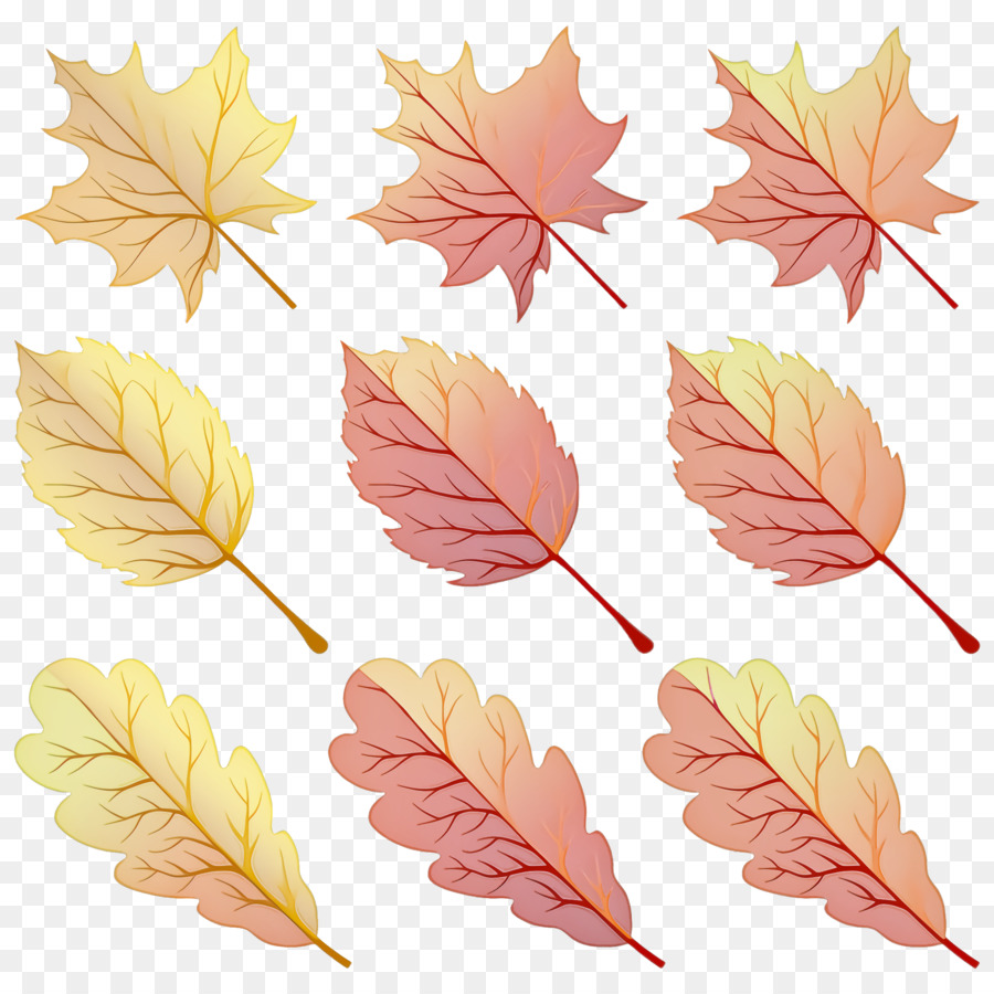 Feuilles D'automne，Automne PNG