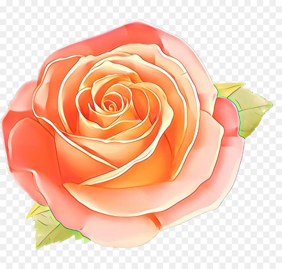 Pêche Rose，Floraison PNG