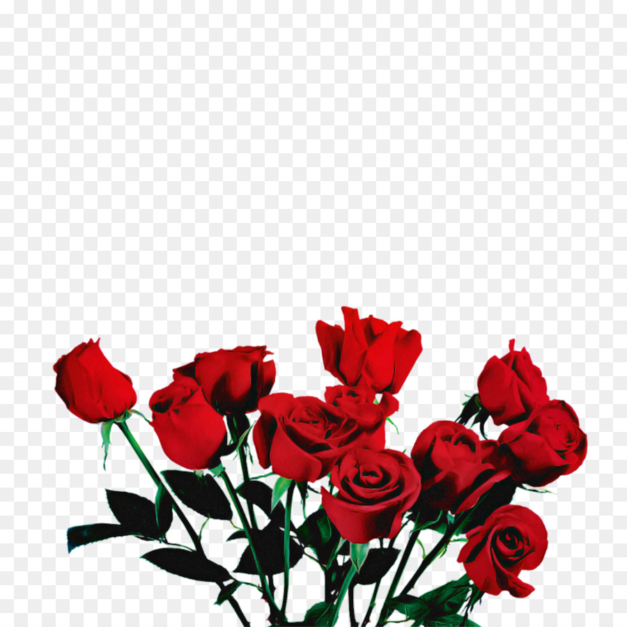 Roses Rouges Et Blanches，Bouquet PNG