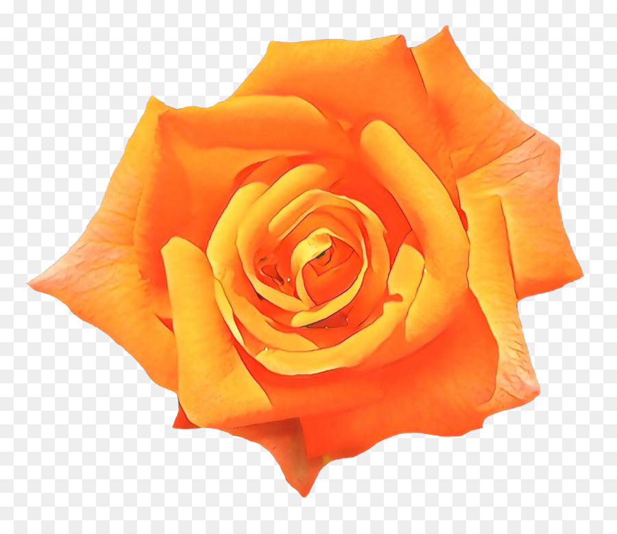 Pêche Rose，Floraison PNG