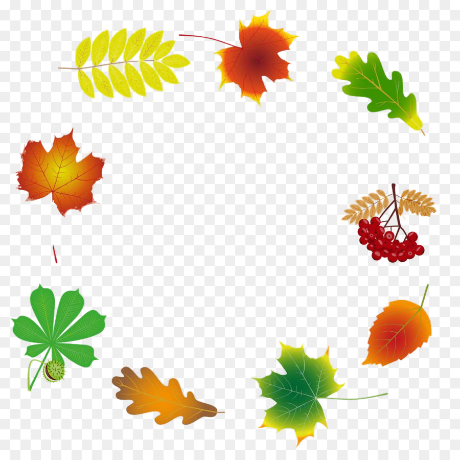 Feuilles D'automne，Automne PNG