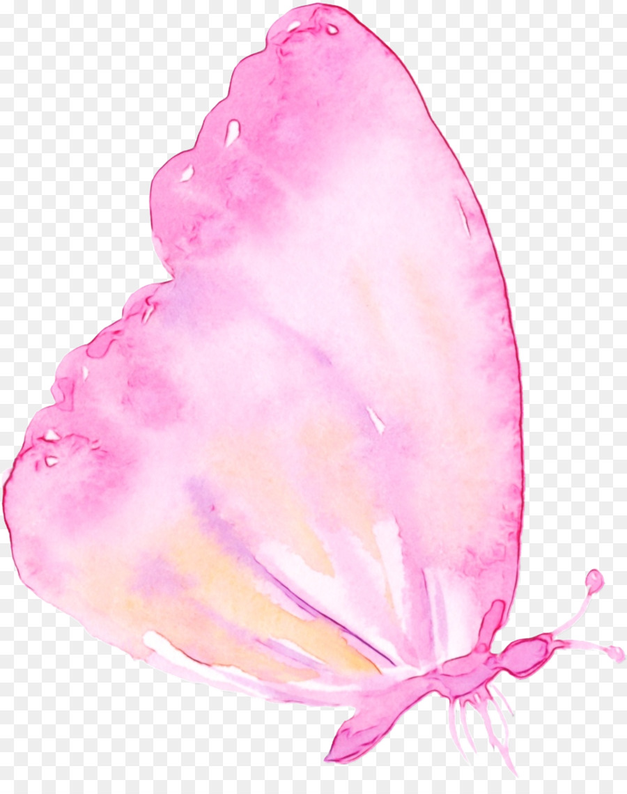 Papillon Rose，Insecte PNG