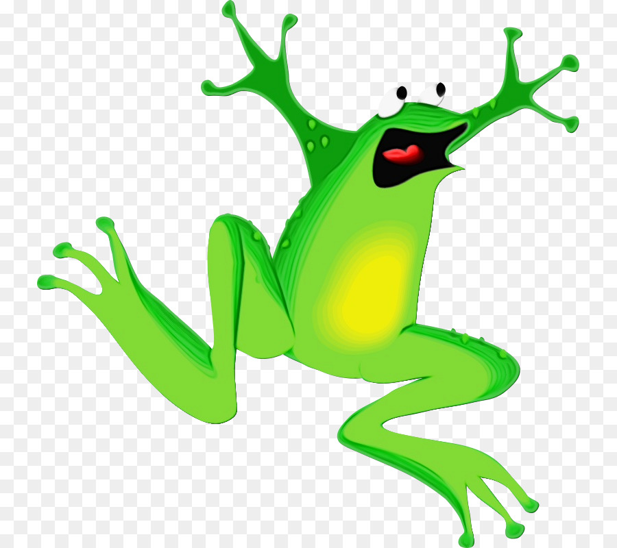 Grenouille Verte，Amphibie PNG