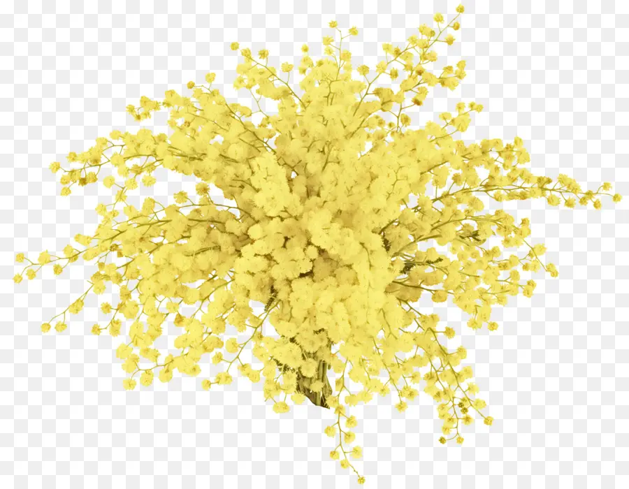 Fleurs Jaunes，Bouquet PNG