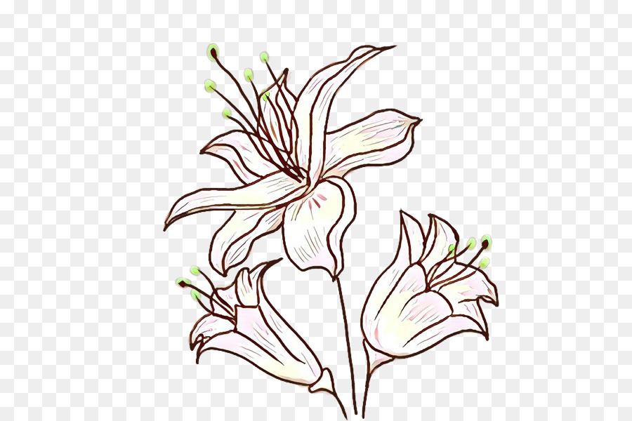 Fleurs Blanches，Floraison PNG