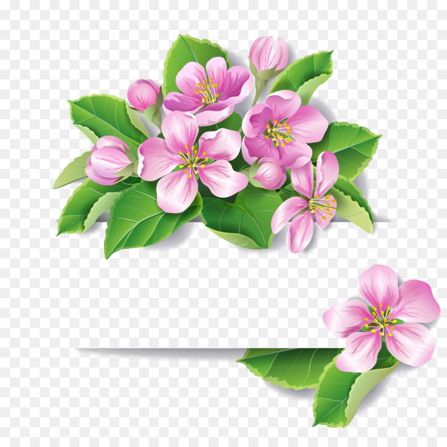 Fleurs，Fleurir PNG