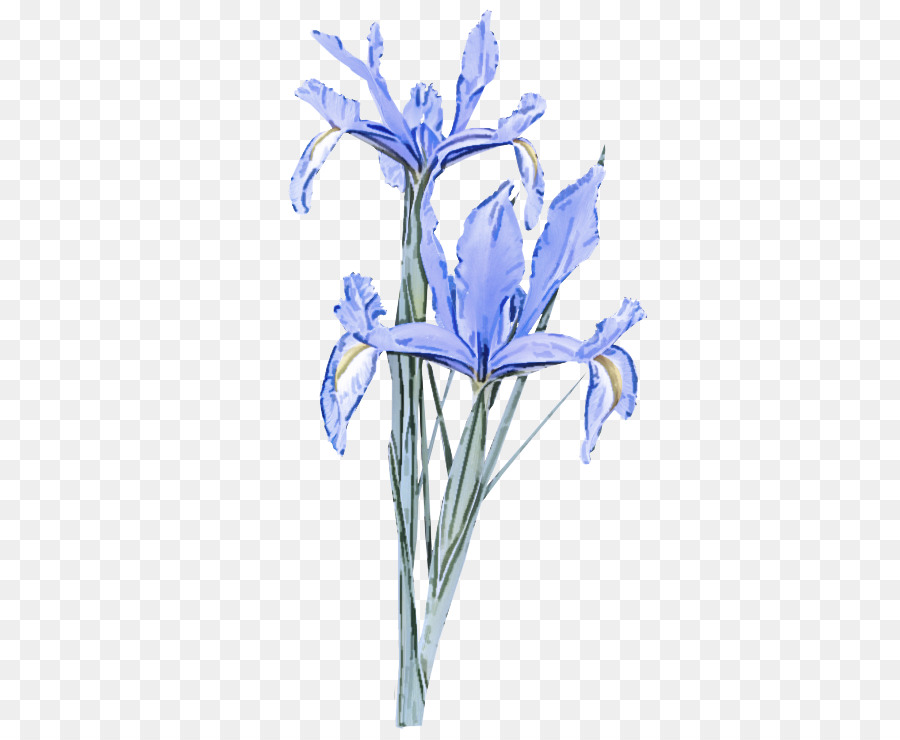 Fleur，La Floraison De La Plante PNG