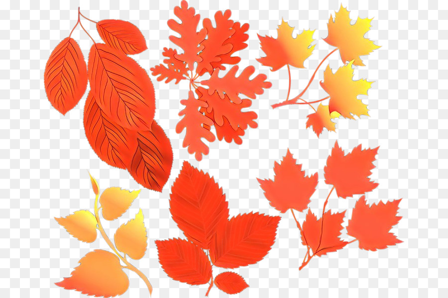 Feuilles D'automne，Feuillage PNG