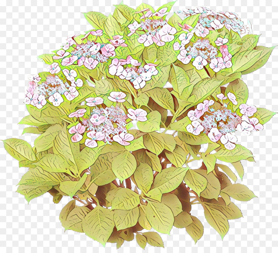 Fleur，Plante PNG