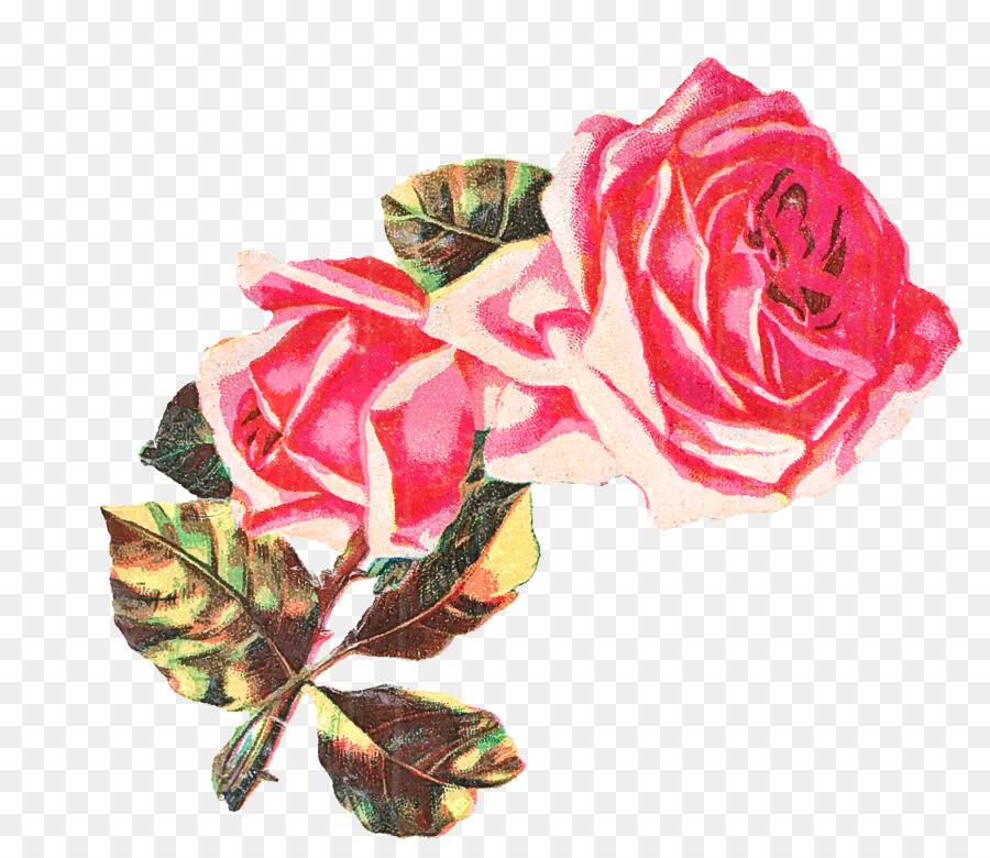 Roses Rouges，Bouquet PNG