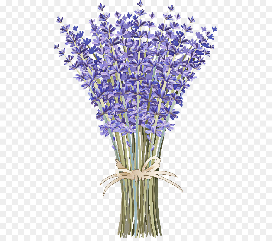 Bouquet De Lavande，Violet PNG