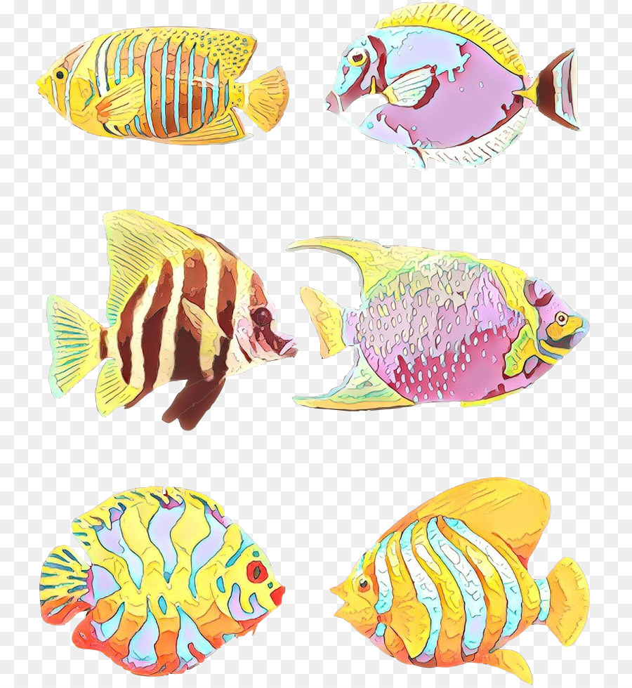 Poisson，Aquatique PNG