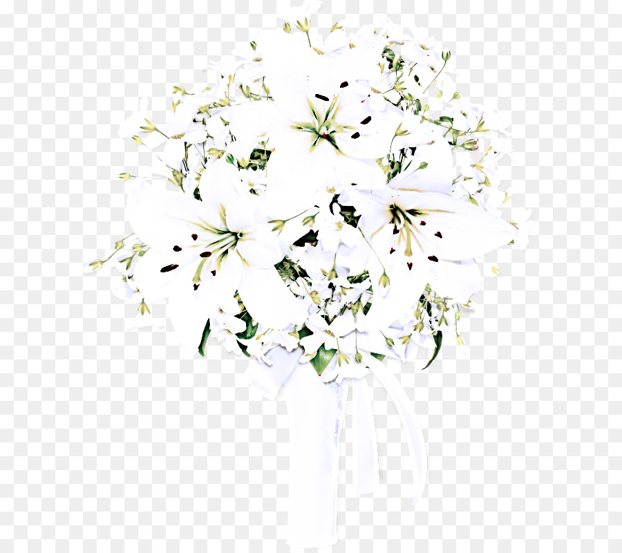 Blanc，Fleur PNG