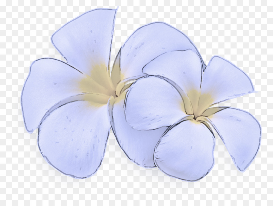 Pétale，Fleur PNG