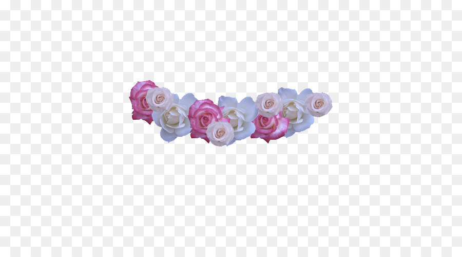 Rose，Violet PNG