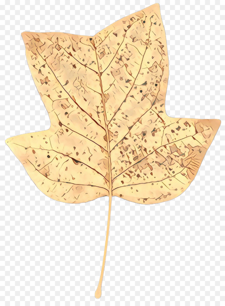 Feuilles Jaunes，Automne PNG