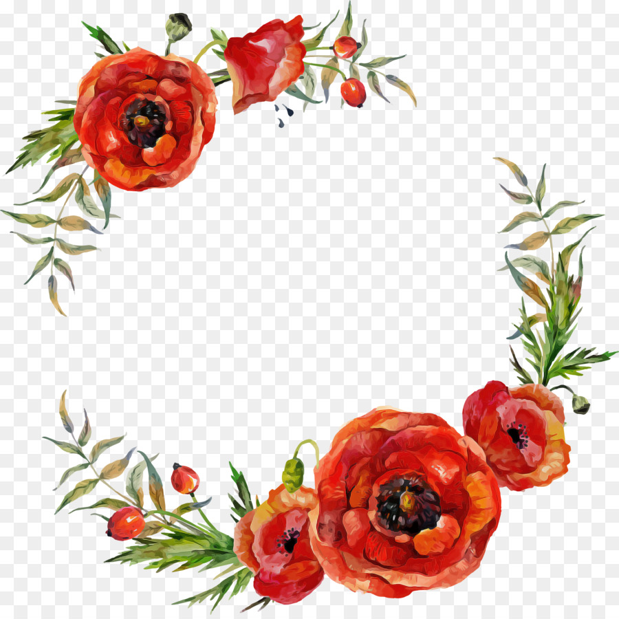 Fleurs，Coquelicots PNG