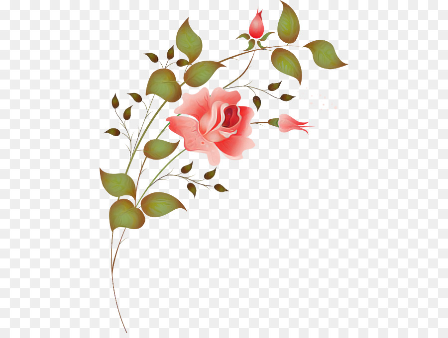 Rose Orange，Fleurir PNG