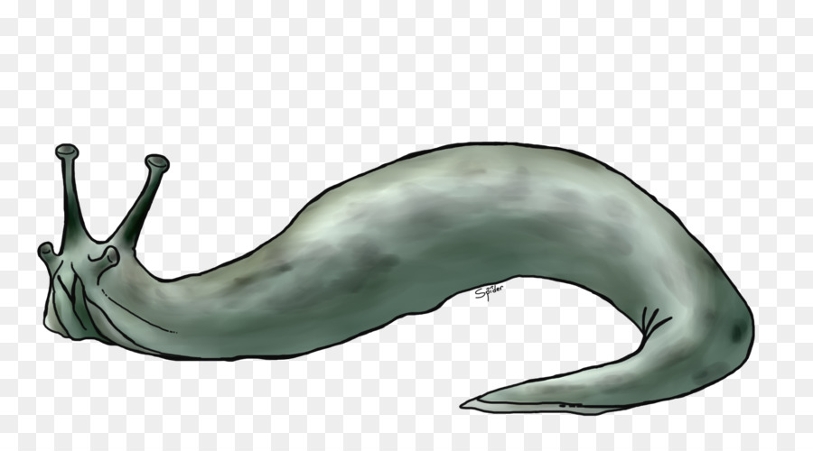 Les Mammifères Marins，Baleine Bleue PNG