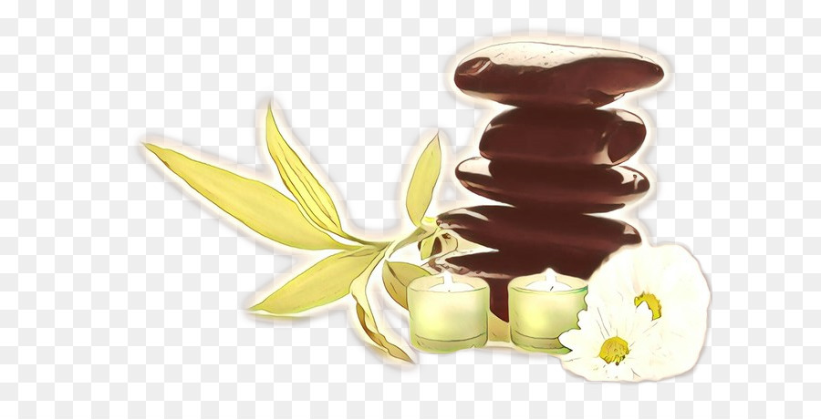 Chocolat，Plante PNG