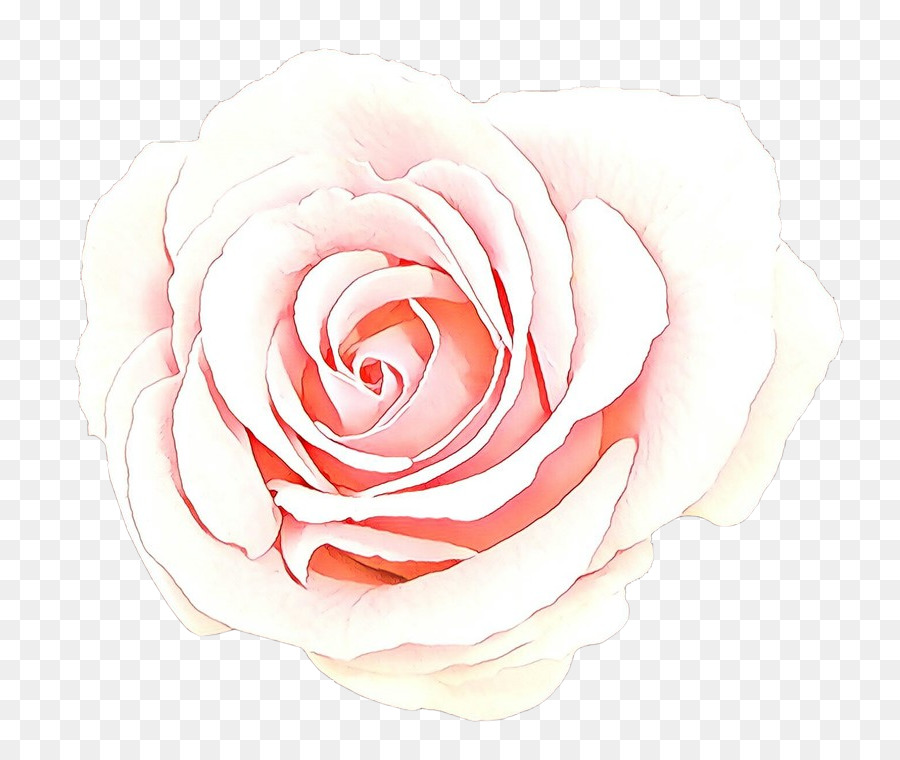 Pêche Rose，Floraison PNG