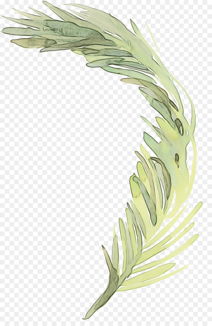 Feuilles De Palmier，Vert PNG