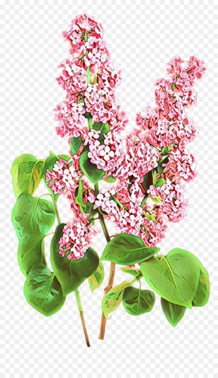 Fleurs Roses，Fleurir PNG