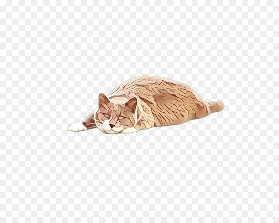 Chat Endormi，Animal De Compagnie PNG