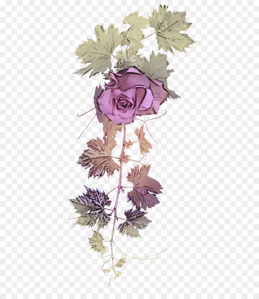 Fleur，Plante PNG